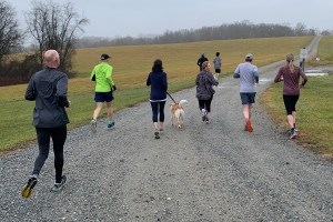 photo of runners beginning the run