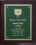 photo of HOF plaque